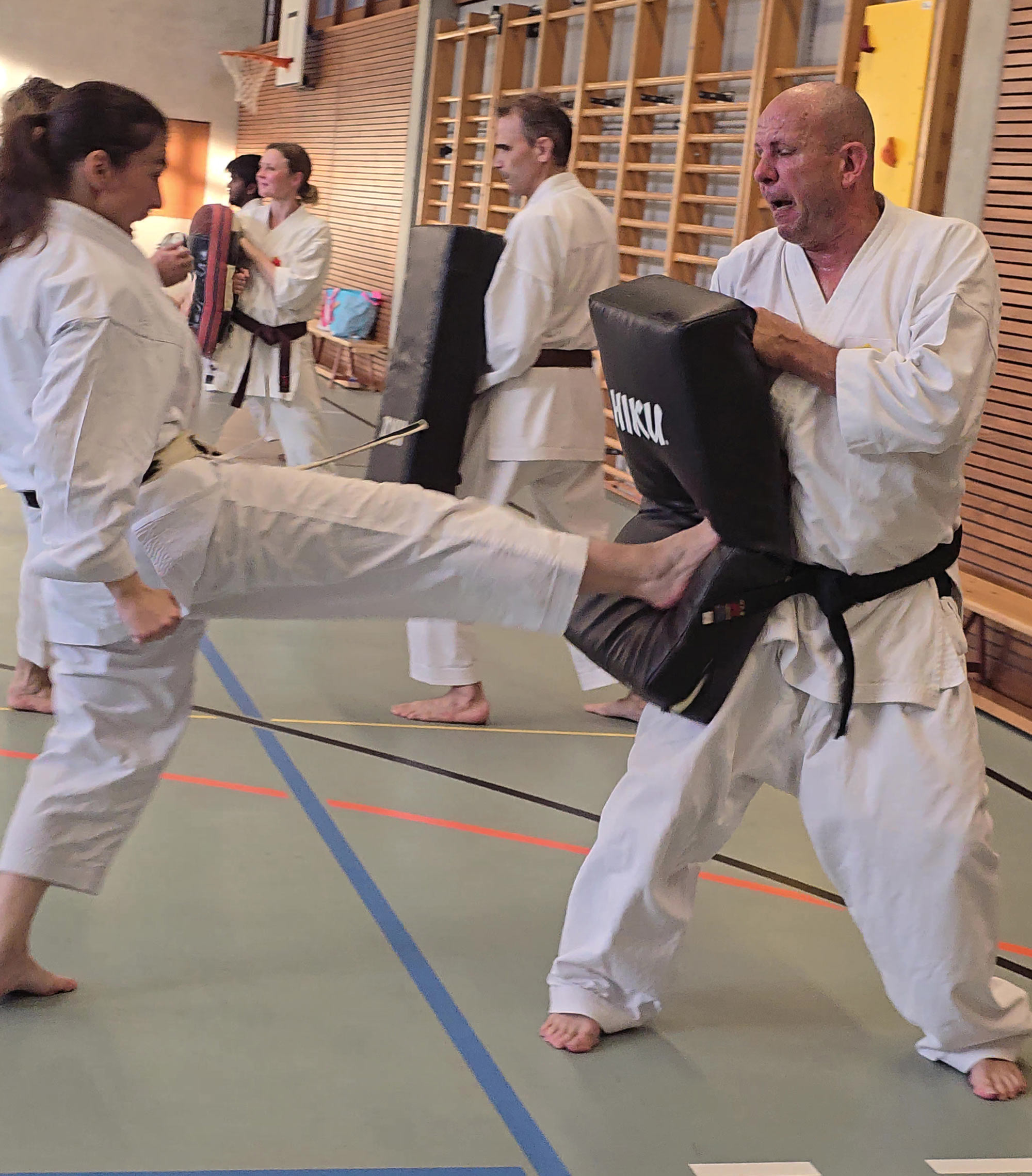 Karate-Instruktorin der Kampfsportschule Aarau Tania Loureiro aus Lostorf kann auf jahrelange Erfahrung als MMA- und Thaiboxkämpferin zurückblicken. So bringt das Instruktoren-Team der Kampfsportschule Aarau nicht nur profunde Karate-Erfahrungen mit, sondern hat auch einen zusätzlichen Background mit langjährigen Erfahrungen aus Kobudo, MMA und Thaiboxen. Auf Praxis-Erfahrungen kann Michael Baumann zurückgreifen, der beruflich auch als Personenschützer tätig ist. Michael Baumann war übrigens mehrfacher offizieller Karate-Schweizermeister der Swiss Karate Federation (SKF) in Elite Einzelkampf.