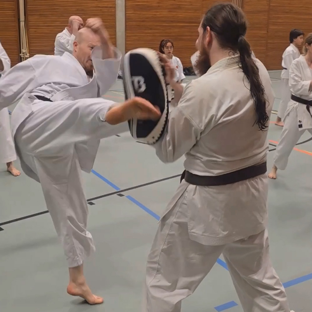 Selbstverteidigung Aarau Aargau. Der Halbkreisfusstritt ist am bekanntesten im Karate, sieht man häufig aber auch im Kickboxen.