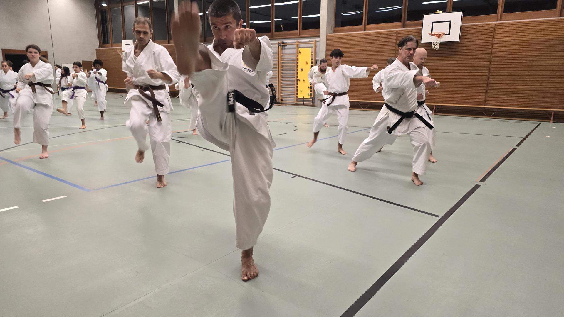 Karate Aarau Aargau 