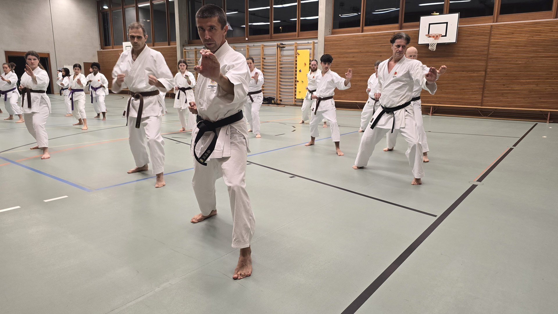 Karate Aarau Aargau