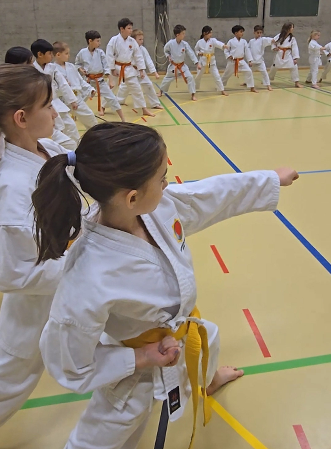 karate kampfsport kinder aarau lenzburg aargau