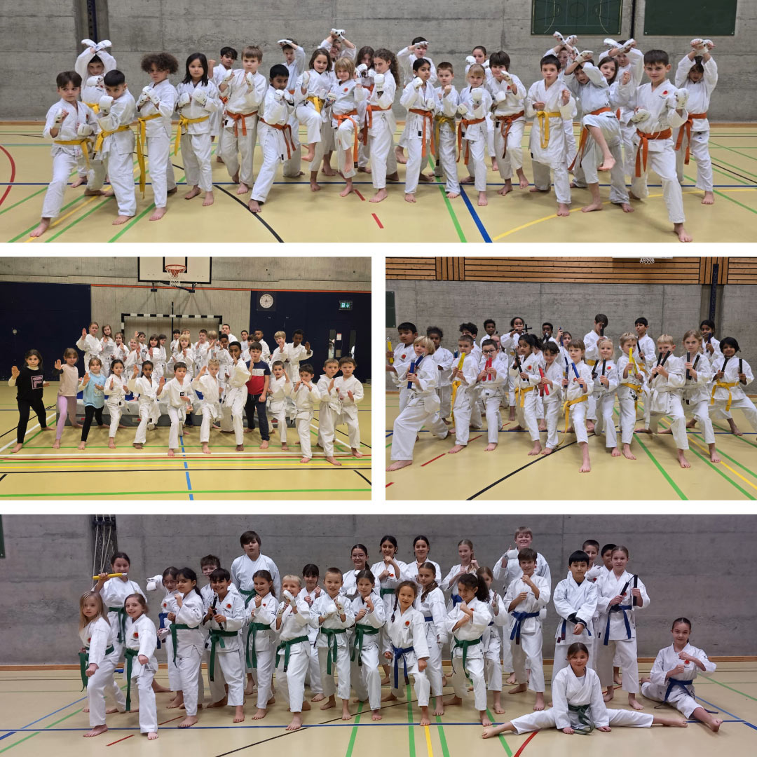 Karate Kinder Aarau Aargau 30 Jahre