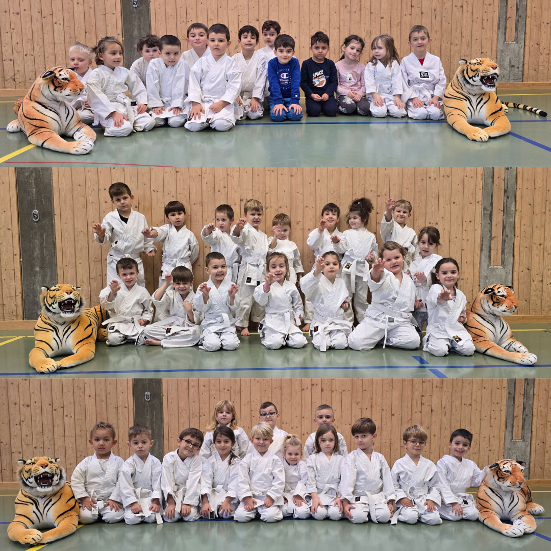 Kinder Bonsai Karate Aarau Aargau 30 Jahre